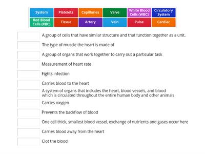 Circulatory System - Heart, Blood and Blood Vessels