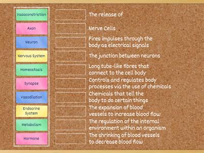 Body Systems