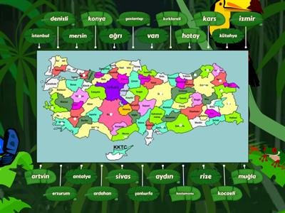 türkiye haritası