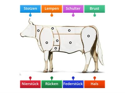 Die 8 Hauptstücke des Rindes