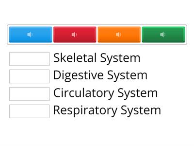 HUMAN SYSTEMS