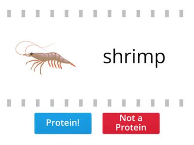Proteins come from animals.