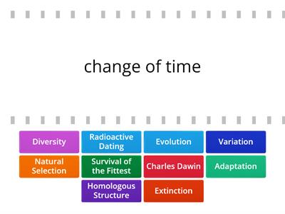 Remediation- Evolution 1