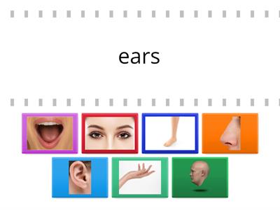 Smileys 3  BODY PARTS (WYBIERZ CZĘŚCI CIAŁA)