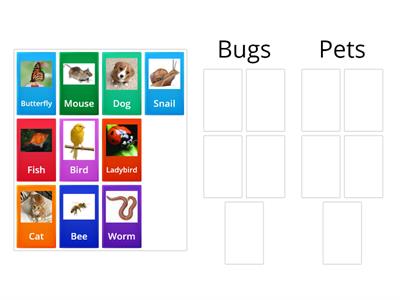 WOW! Yellow bug vs pets
