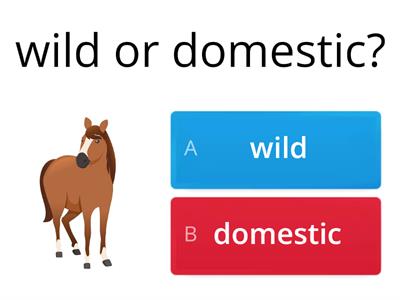 wild and domestic animals