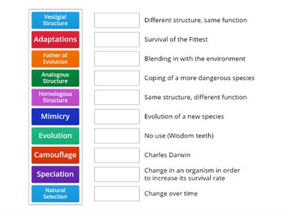 Evolution Match-Up