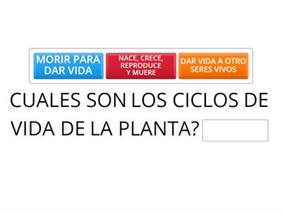 CICLO DE VIDA DE LAS PLANTAS