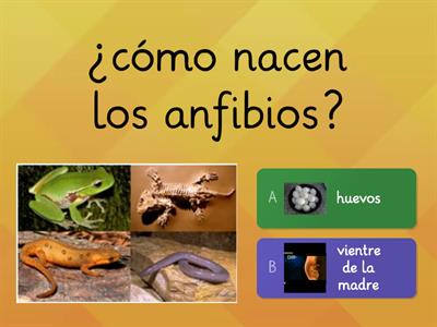 Ciencias naturales anfibios 