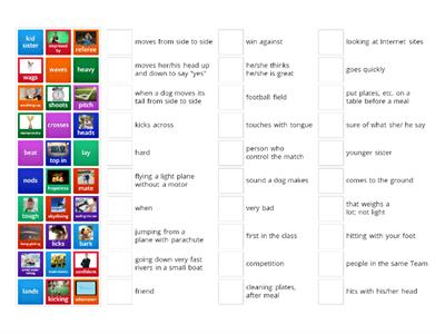 7f Zadies Big Day Glossary 