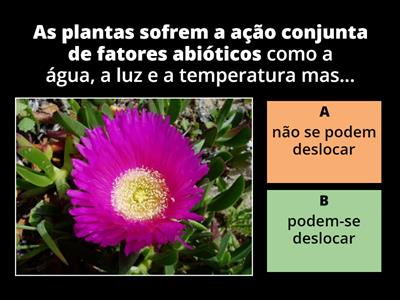Influência dos fatores abióticos nas plantas (pag 178 à 189)