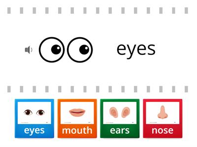 Preschool Parts of a face