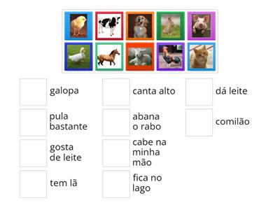 Qual animal?