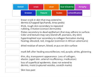 SECONDARY LESION