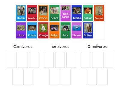 herbívoros, carnívoros y omnívoros
