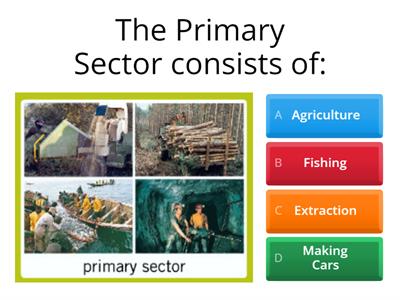 2021 2022 OA The Primary Sector