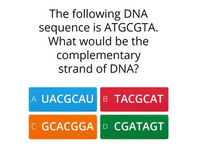 DNA Sequences 