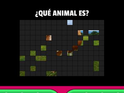 ¿QUÉ ANIMAL ES?