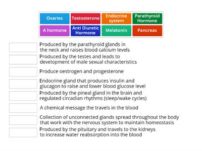 Endocrine Match up