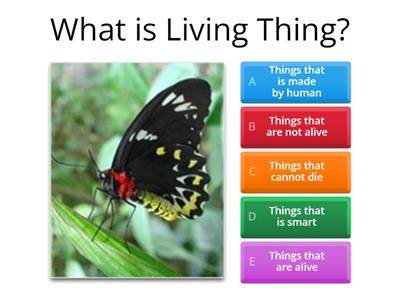 G3 Science - Living Things