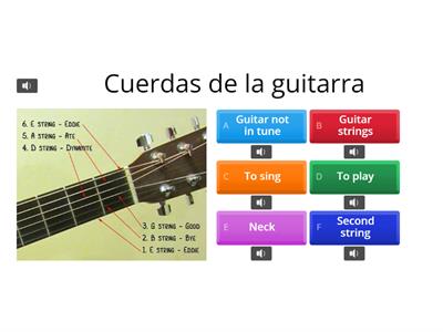 Cuerdas de la guitarra / Guitar strings