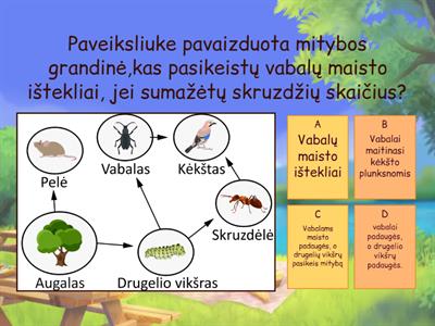  5 c KLASĖS METINIS KONTROLINIS