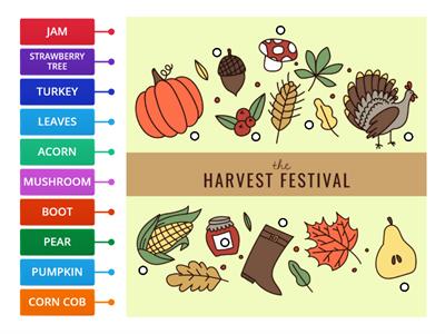 Harvest festival