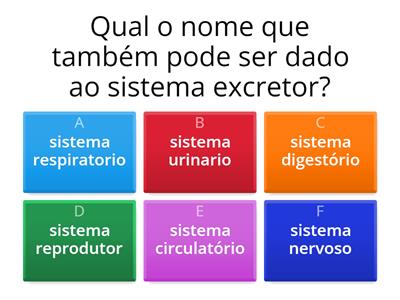 sistema excretor