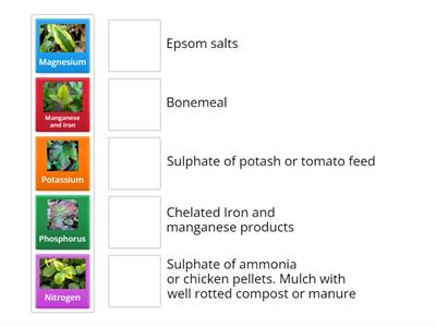 How to treat deficiencies in plants