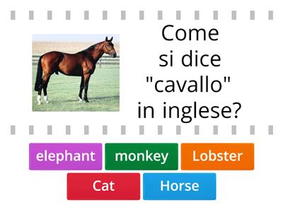 Quiz sugli animali in inglese