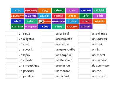 FR Animals 1 (from interactive website: https://www.digitaldialects.com/French/Animals.htm)