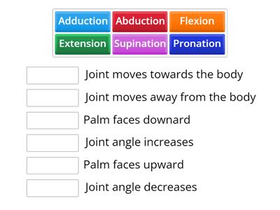 Vet Assisting Movement Terms