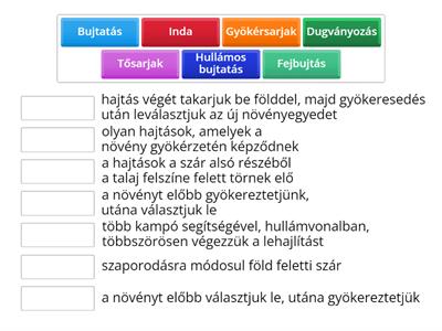 Növények ivartalan szaporítása