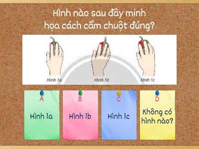 Môn Tin Học 3 Cánh Diều