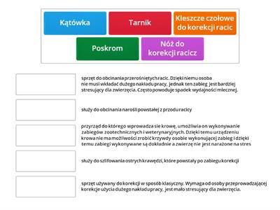 Sprzęt wykorzystywany przy korekcji racic