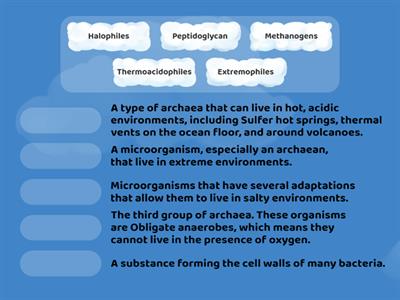 Bacteria Game (Biology) 