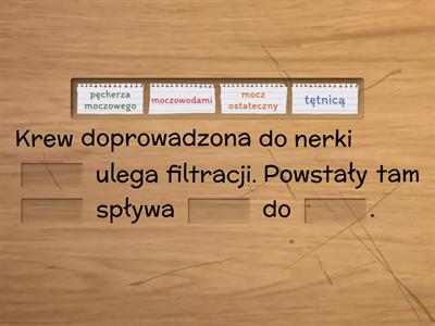 Ćwiczenie 2 Uzupełnij luki w tekście, wybierając terminy z listy.