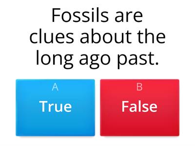 RAZ Fossils