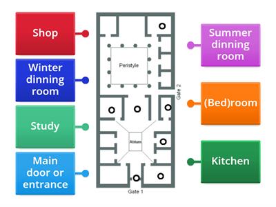 Domus plan