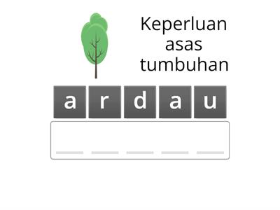 Keperluan Asas Tumbuhan