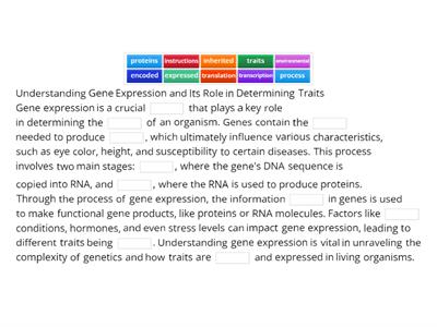Understanding Gene Expression
