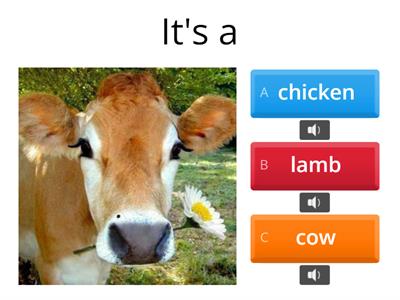 Are you a cow? Animals Quiz