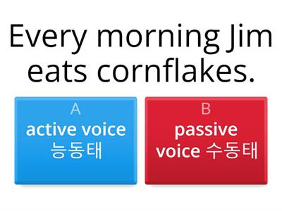 Passive Voice present - Passive or Active?