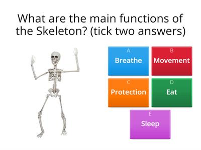 Bones and Joints Quiz