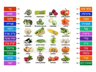 Hebrew Vegetables Match
