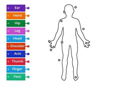 Parts of the Body (English)