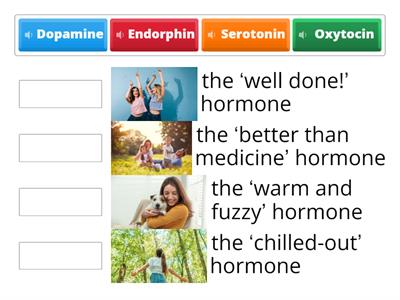 Match the four ‘happy hormones’ 