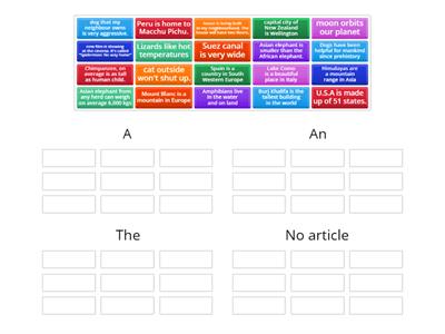 3B Articles practice