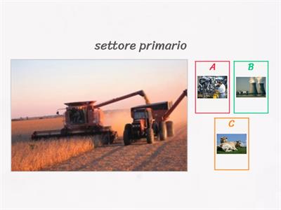 I  settori dell`economia