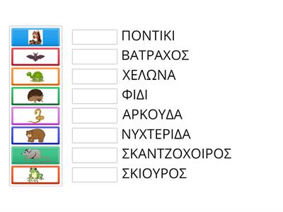 Ένωσε κάθε ζώο που πέφτει σε χειμερία νάρκη με το ονομά του.